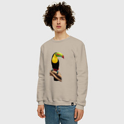 Свитшот хлопковый мужской Птица тукан, цвет: миндальный — фото 2