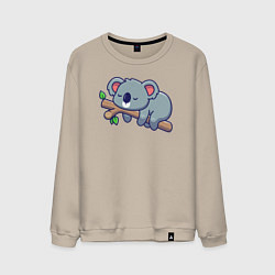 Мужской свитшот Коала на ветке