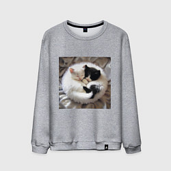 Свитшот хлопковый мужской Два любящих котика обнимаются клубочком, цвет: меланж