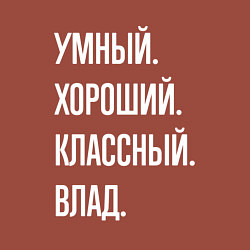 Свитшот хлопковый мужской Умный хороший классный Влад, цвет: кирпичный — фото 2