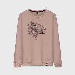 Мужской свитшот Овца в профиль