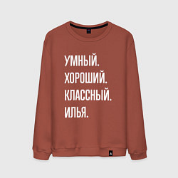 Свитшот хлопковый мужской Умный хороший классный Илья, цвет: кирпичный