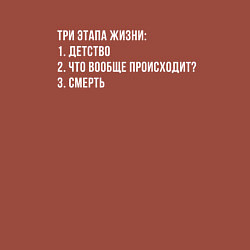 Свитшот хлопковый мужской Этапы жизни, цвет: кирпичный — фото 2