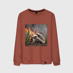 Мужской свитшот Ёжик в огне