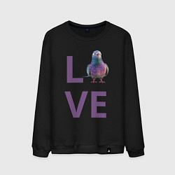 Мужской свитшот Любовь к голубям