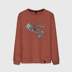 Мужской свитшот Я люблю деньги