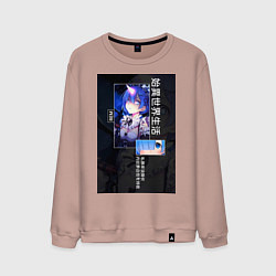 Мужской свитшот Рем близняшка горничная