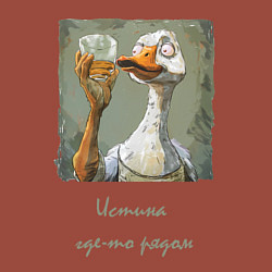 Свитшот хлопковый мужской Истина где то рядом, цвет: кирпичный — фото 2