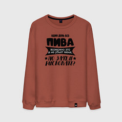 Свитшот хлопковый мужской Один день без пива, цвет: кирпичный
