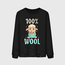 Мужской свитшот Стопроцентная шерсть