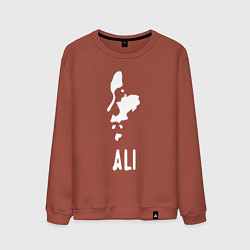 Мужской свитшот Боксёр Али