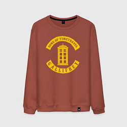 Свитшот хлопковый мужской Сыны путешествия во времени, цвет: кирпичный