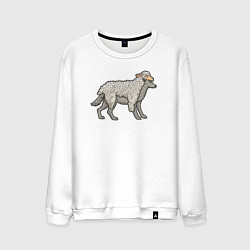 Свитшот хлопковый мужской Волк в шкуре овцы, цвет: белый