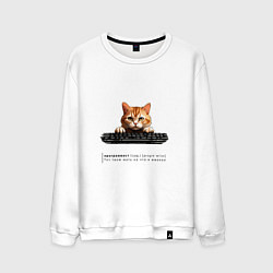 Мужской свитшот Кот программист с описанием