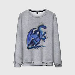 Свитшот хлопковый мужской Azure dragon, цвет: меланж