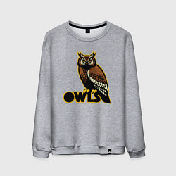 Свитшот хлопковый мужской Owls, цвет: меланж