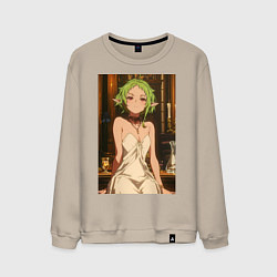 Мужской свитшот Реинкарнация безработного Сильфиетта вечернее плат