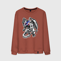 Мужской свитшот BMW S100RR Drago