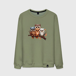 Мужской свитшот Четыре совы на ветке