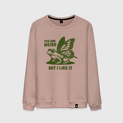 Свитшот хлопковый мужской Лягушка с крыльями ты странный но мне нравится, цвет: пыльно-розовый