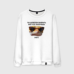 Свитшот хлопковый мужской Ты можешь выбрать себе все что захочешь нет, цвет: белый