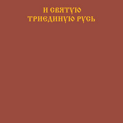 Свитшот хлопковый мужской За веру царя и святую триединую Русь Желтый текст, цвет: кирпичный — фото 2