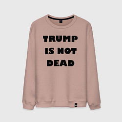 Свитшот хлопковый мужской Trump is not dead - motto, цвет: пыльно-розовый