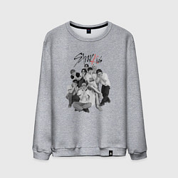 Свитшот хлопковый мужской Stray Kids 6th Anniversary, цвет: меланж