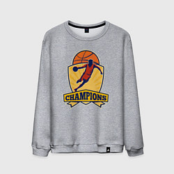 Мужской свитшот Champion basketball