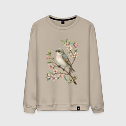 Мужской свитшот Маленькая птичка на ветке с цветами