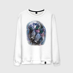 Мужской свитшот Три голубя орущие на луну