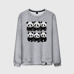 Свитшот хлопковый мужской Шесть панд, цвет: меланж