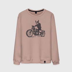 Мужской свитшот Бостон-Терьер Байкер на Мотоцикле Чоппере