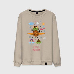 Мужской свитшот Лягушонок пилот