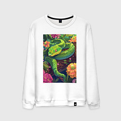 Мужской свитшот Тропическая змея