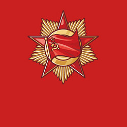 Свитшот хлопковый мужской Знамя СССР, цвет: красный — фото 2