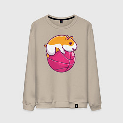 Мужской свитшот Хомяк баскетболист