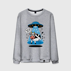 Мужской свитшот НЛО и корова