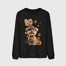 Мужской свитшот Собака в костюме хеллоуин