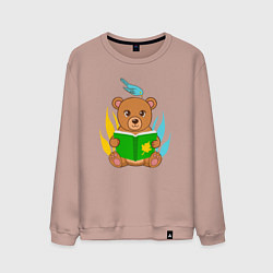 Мужской свитшот Медведь с книжкой