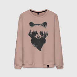 Мужской свитшот Лицо енота из деревьев