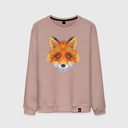 Свитшот хлопковый мужской Лисичка лоу поли, цвет: пыльно-розовый
