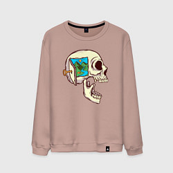 Свитшот хлопковый мужской Открой путешествие, цвет: пыльно-розовый