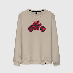 Мужской свитшот Speedy biker