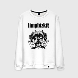 Свитшот хлопковый мужской Limp Bizkit - rock dog, цвет: белый