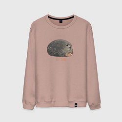 Мужской свитшот Милый толстый тюлень из мема штош