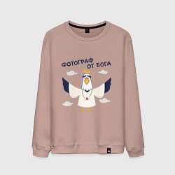 Мужской свитшот Орел фотограф от бога