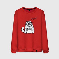 Мужской свитшот Котик вау
