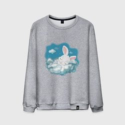 Мужской свитшот Зайчик спит на облаках