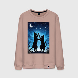 Свитшот хлопковый мужской Танцующие коты под звёздным небом, цвет: пыльно-розовый